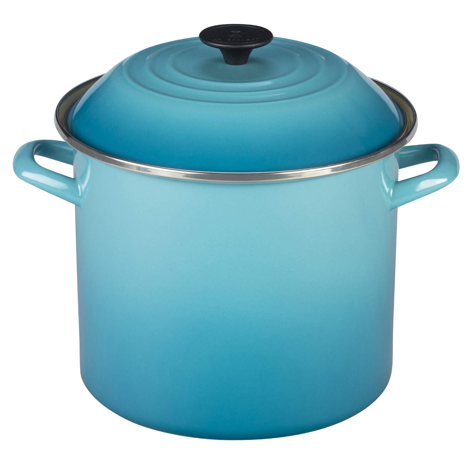Le Creuset Enamel-on-Steel Covered Stockpot, 10-Quart, Caribbean