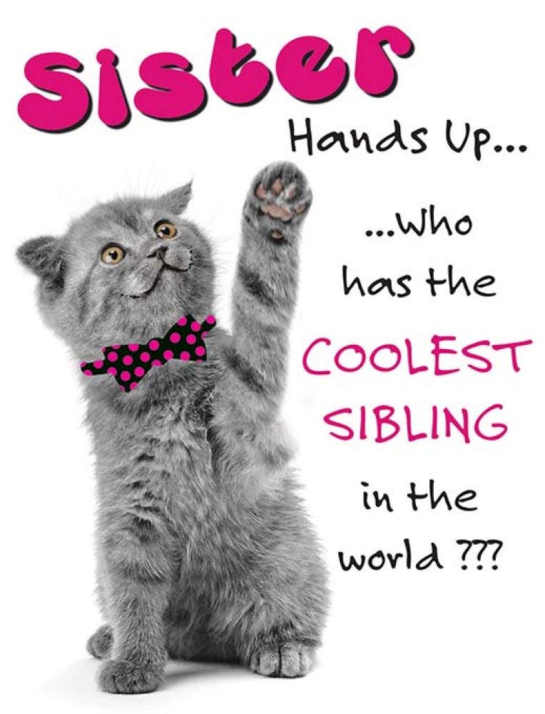 Piccadilly Greetings Humour Birthday Card Sister - 8 x 6 inches