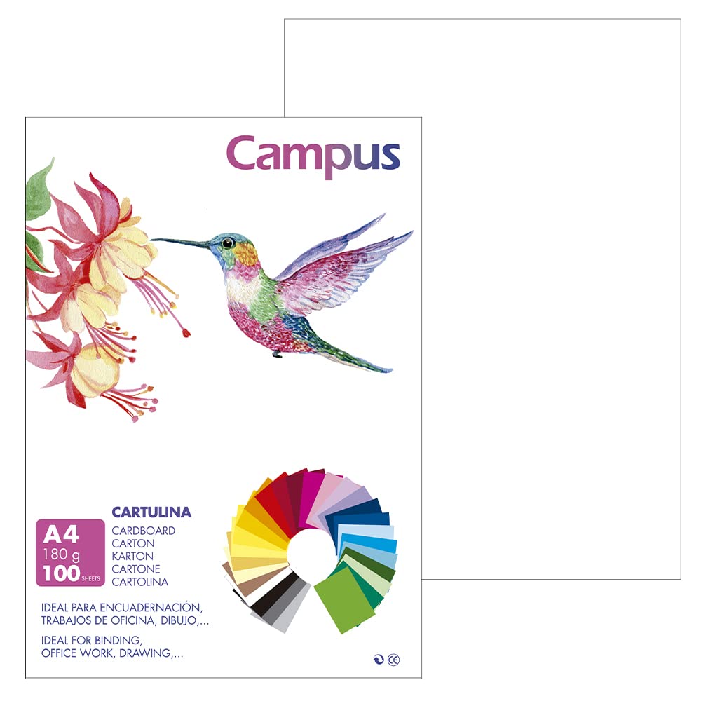 Carta Per Artigianato Cartoncini Campus A4 100 Pezzi - 180g/m² Nero - Per Disegno, Artigianato E Ufficio Fogli Cartoncino 180g