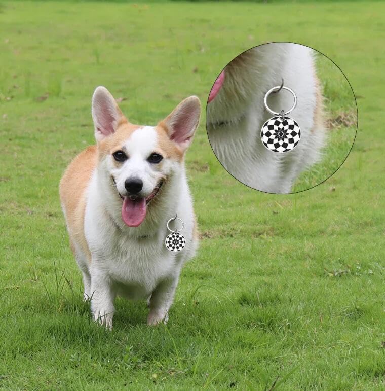 Etichette Personalizzate Per Collare Per Cani Da Compagnia Ciondolo Rotondo Per Medaglia Identificativa Per Animali Domestici Con Nome Inciso Numero Personalizzato Forniture Per Cuccioli Di Gat