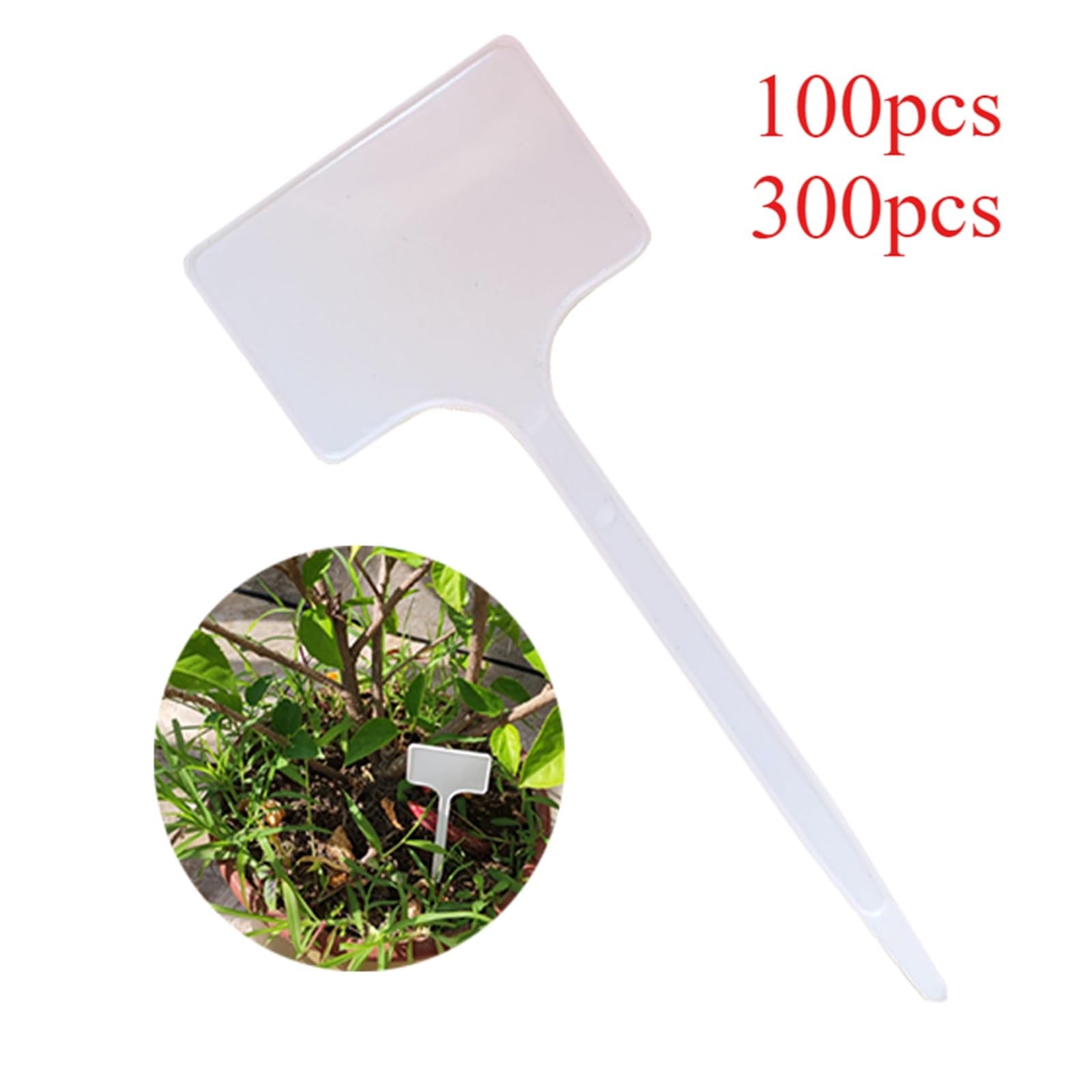 Etichette Per Piante 100/300 pezzi di etichette for piante, cartelli di classificazione impermeabili bianchi for esterni, piante in vaso, orti, cortili, attrezzi da giardinaggio(300pcs)