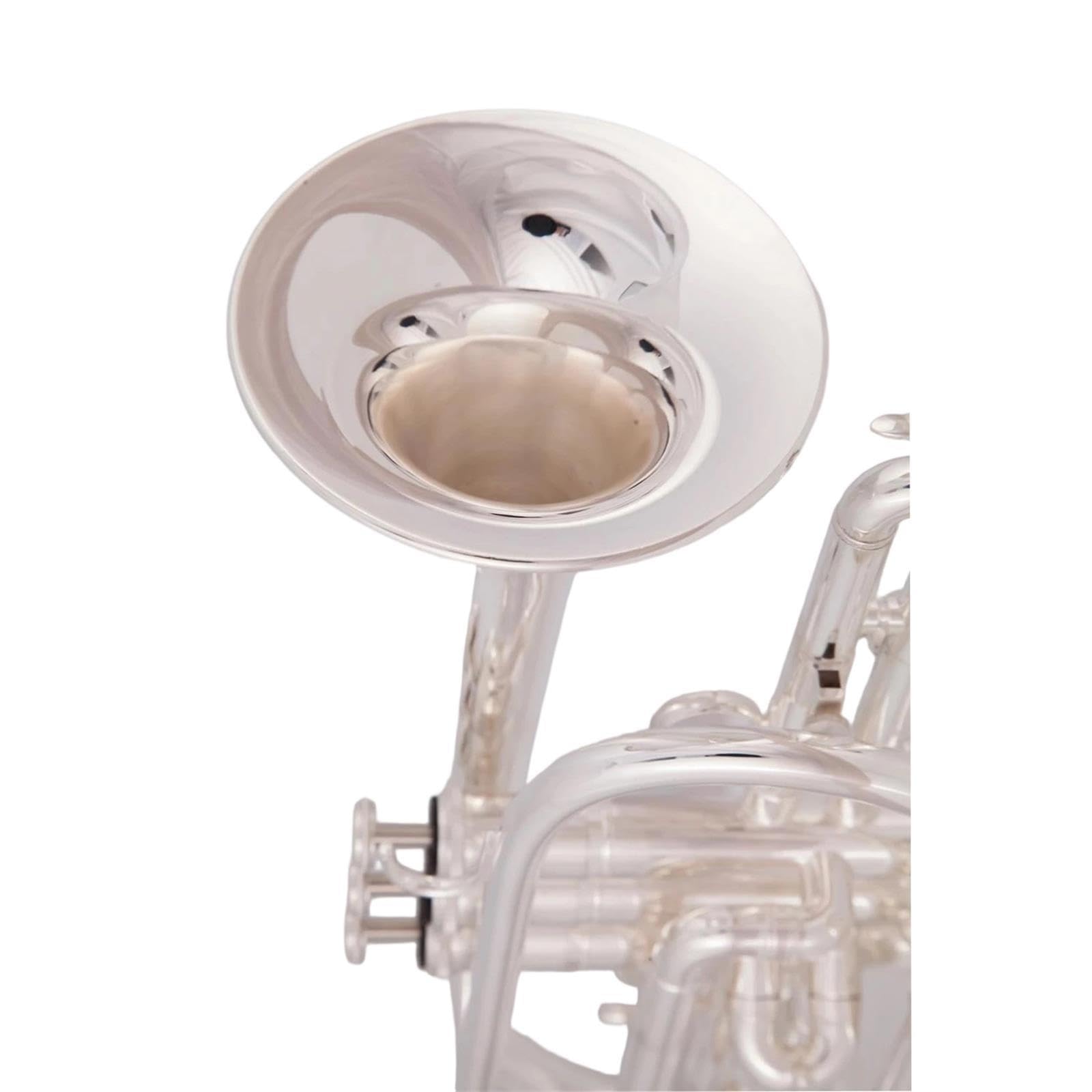 Professional Trumpet Trompeta Sib Principiante