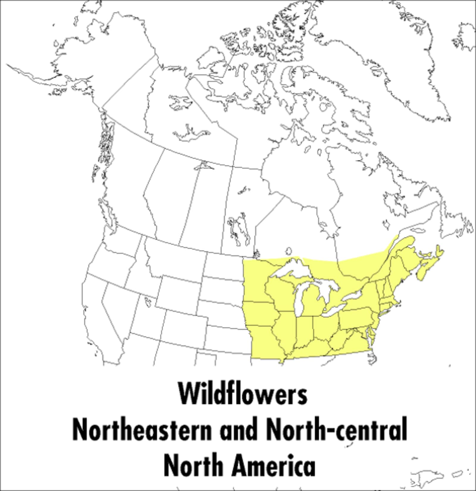 A Peterson Field Guide To Wildflowers: Northeastern and North-central North America (Peterson Field Guides)