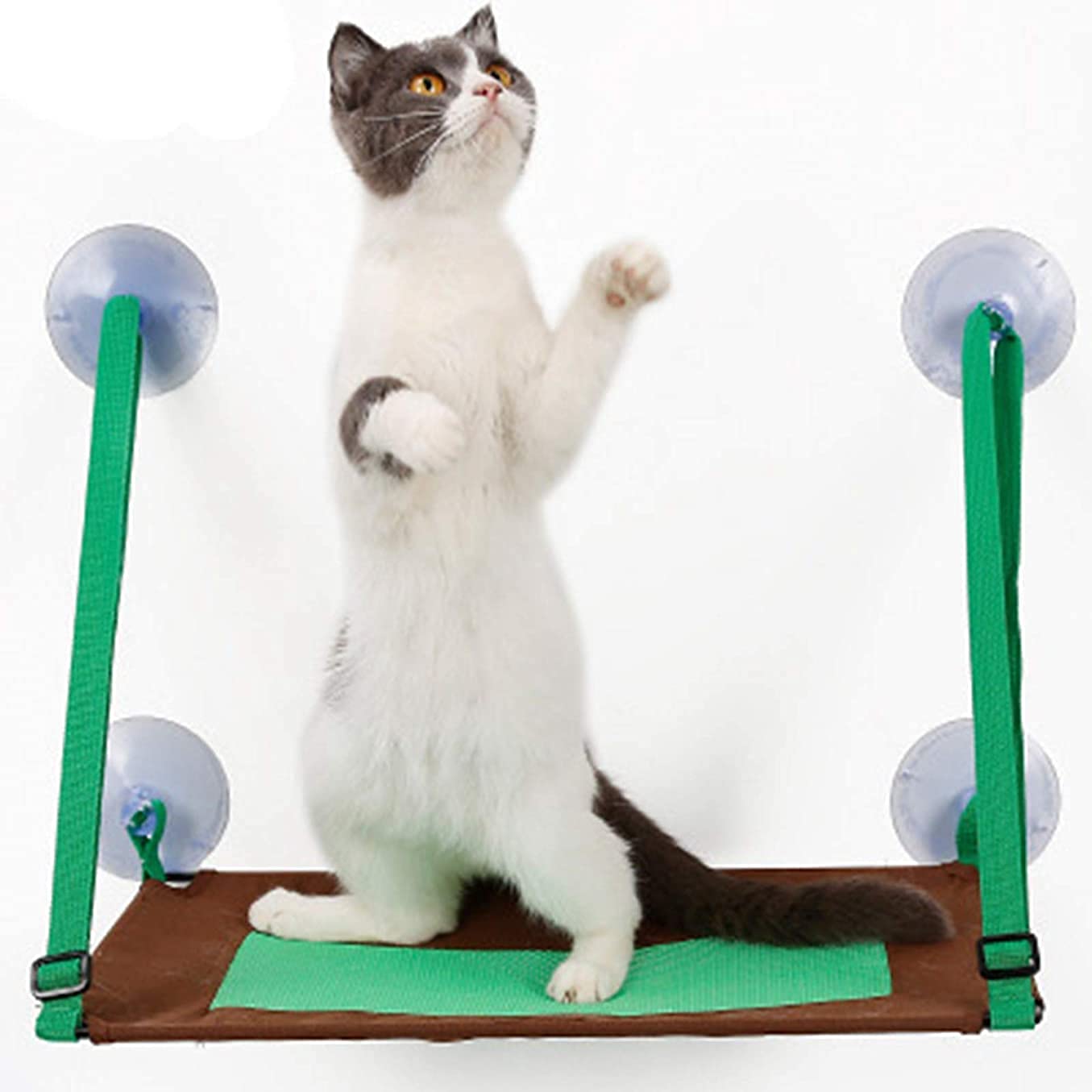 Hamaca para Gato Hamaca Ventana de Gato Ventana Perch Bed Asiento Hamaca para gatos Cama Hamaca colgante para gatos montada en la ventana con 4 ventosas de alta resistencia Sostiene hasta 44 libras, c