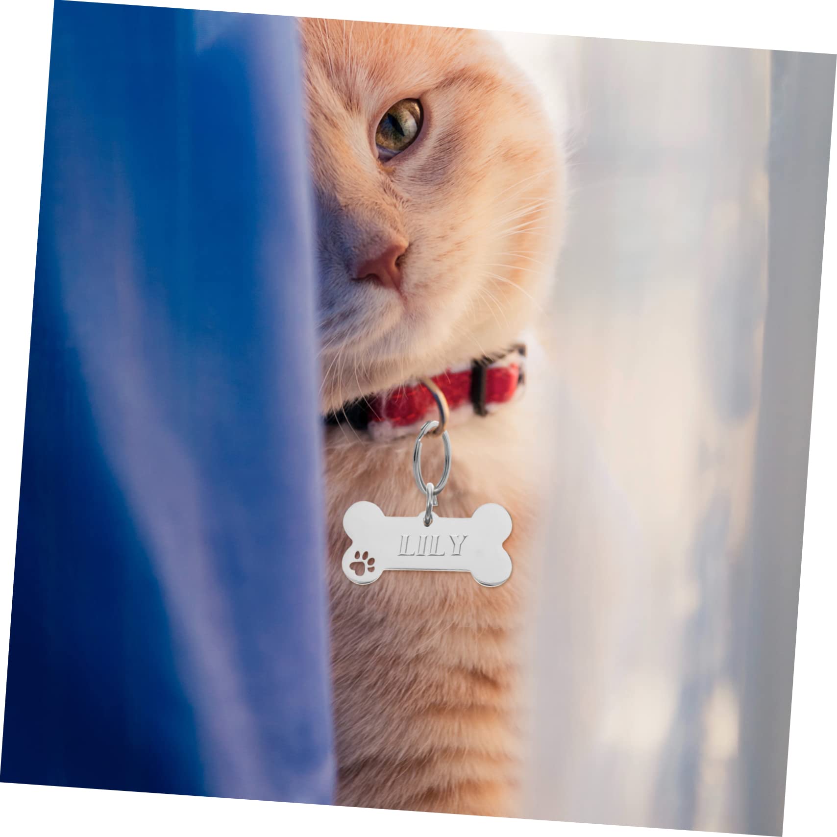 SUPVOX 20pezzi Medagliette Identificative Acciaio Inossidabile Per Animali Domestici Targhette Forma Di Osso Per Cuccioli Accessori Antismarrimento Incisi Design Elegante e Durevole Per