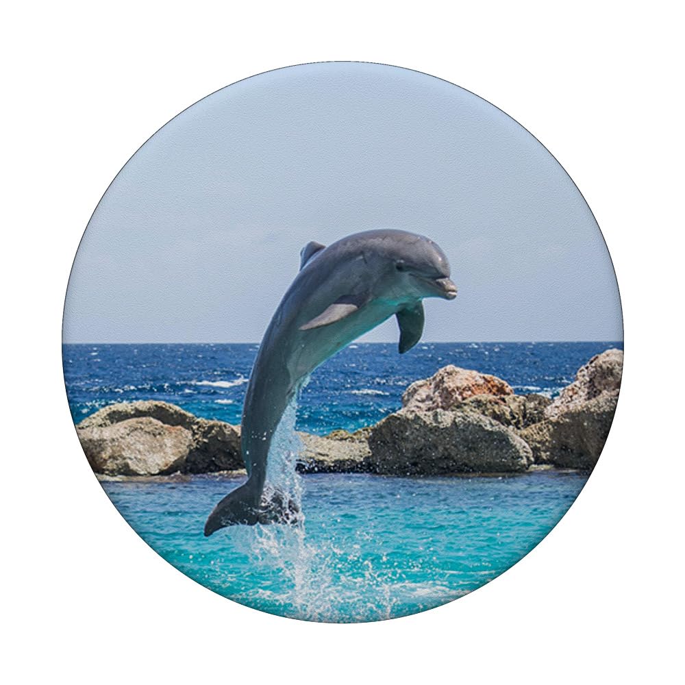 Dolphin PopSocket PopGrip - Cute Dolphin Picture Phone Grip & Stand
