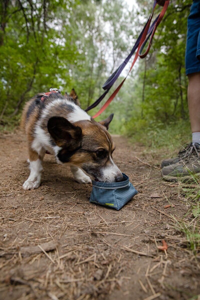 RUFFWEAR Great Basin Hundenapf, Leichter, zusammenfaltbarer Reise-Hundenapf für Futter und Wasser, Größe: Small, 0,75 L, Slate Blue