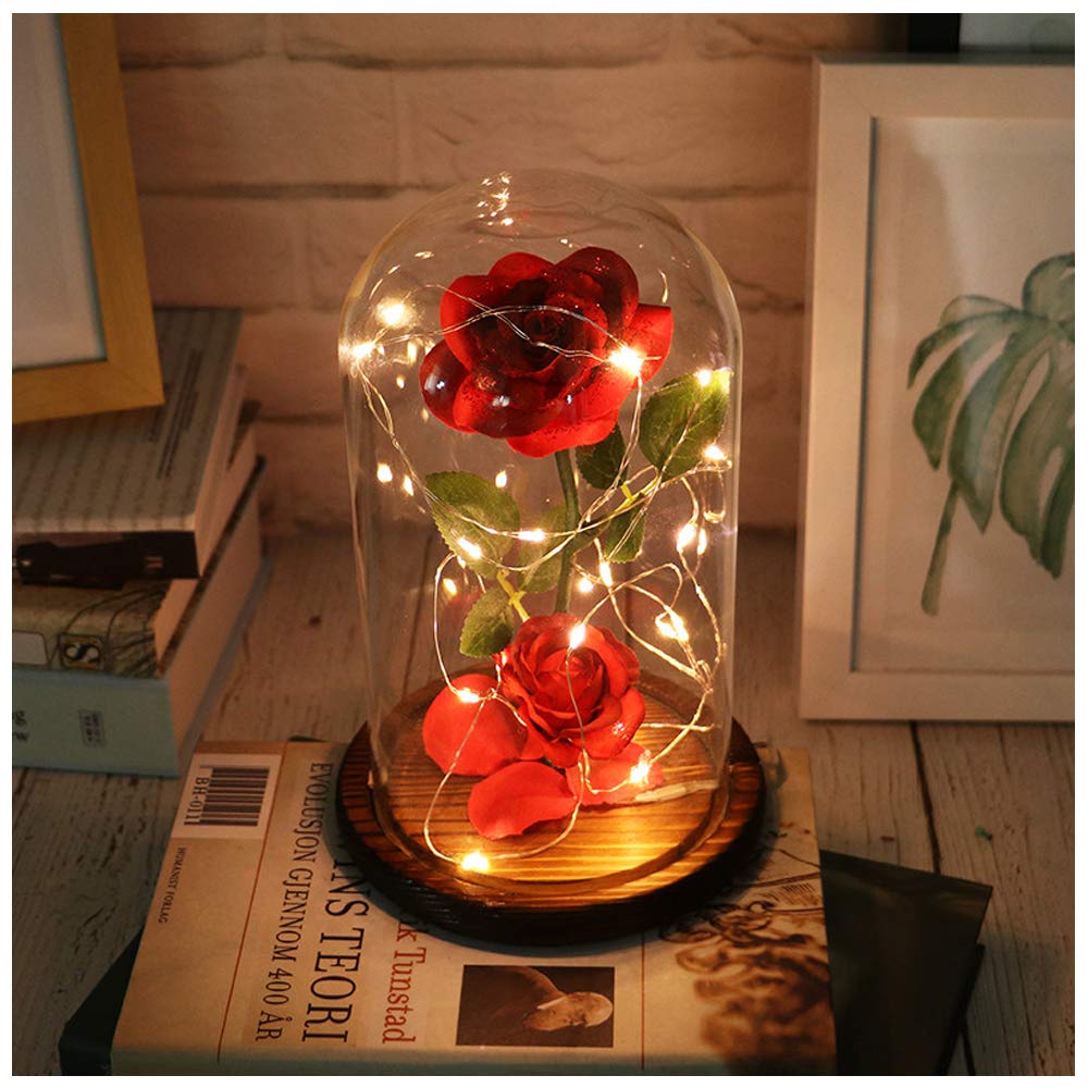 Micozy Beauty And The Beast Rose Enchanted Red Silk Rose Lamp That Lasts Forever With Led Fairy String Lights Fallen Petals And Abs Base In A Glass Dome Best Gift For Her Red Buy Online Micozy Beauty And The Beast Rose Enchanted Red Silk Rose Lamp That Lasts Forever With Led Fairy String Lights Fallen Petals And Abs Base In A Glass Dome Best Gift For Her Red Buy Online