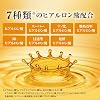 Hada Labo Gokujun Premium Hyaluronic Acid Refill Beauty Essence 170mL