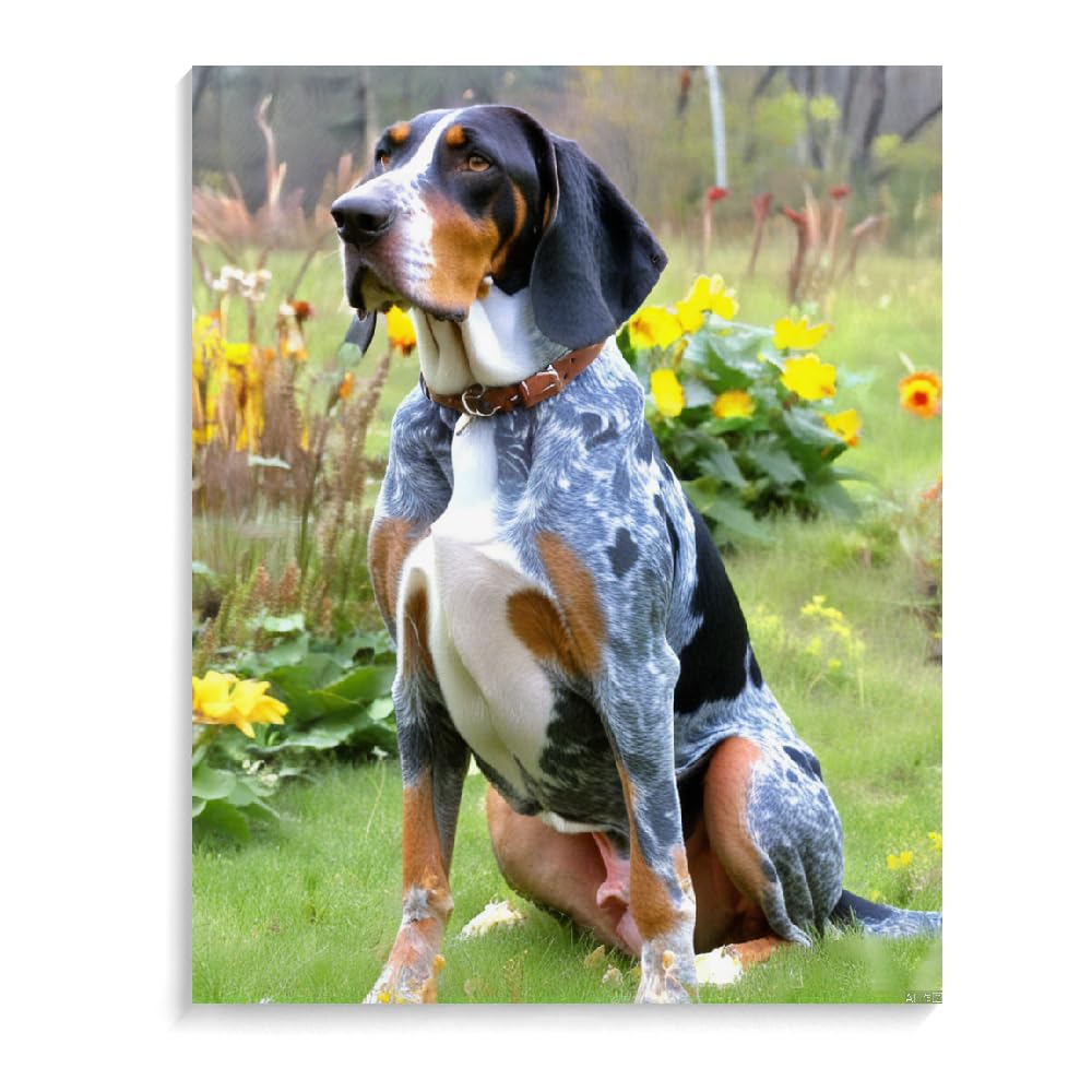DIY Paint by Number for Adults Beginner Bluetick Coonhound Dog Paint by Number on Canvas DIY Oil Painting for Gift Home Wall Decor 16x20inch(40x50cm) Frameless
