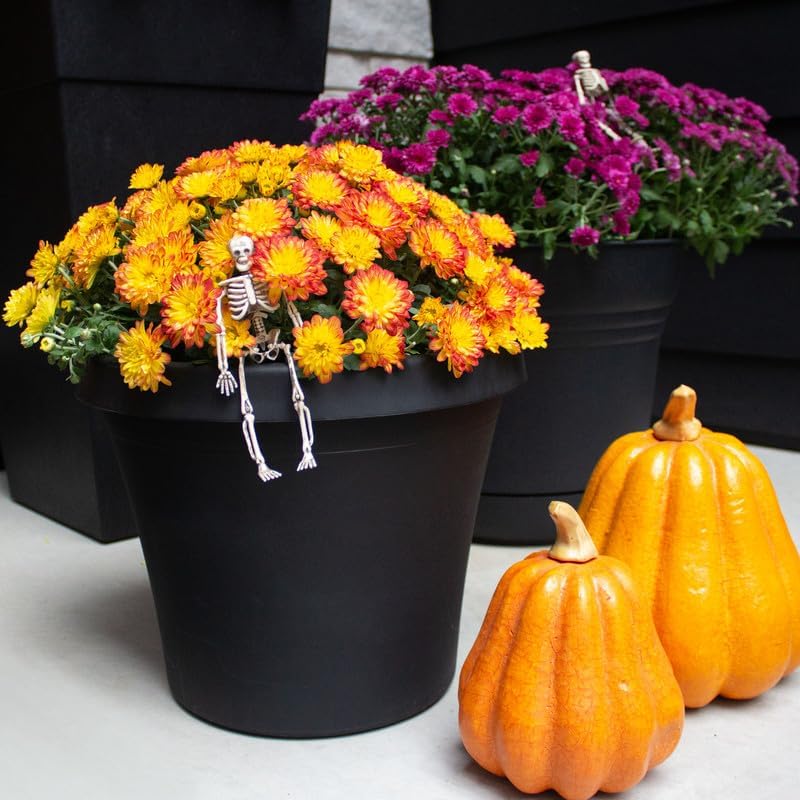 Miniatura 6 de Bloem - Maceta Terra maceta de resina duradera de 12 pulgadas, negra, para uso en interiores y exteriores, jardinería, capacidad de 3.5 galones, el