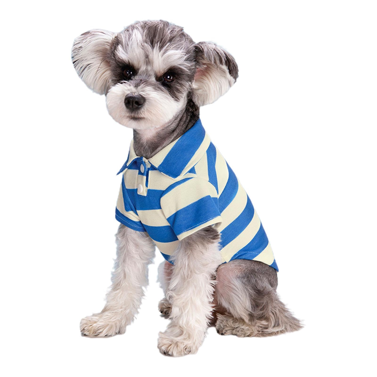 Dog Shirts for Small Medium Pets, Puppy Cute Polo Shirts, Striped Collar T-Shirt Spring Summer Cats Outfits, Breathable Thin Dogs Clothes for Yorkie Puppy Kitten (Blue,XS)
