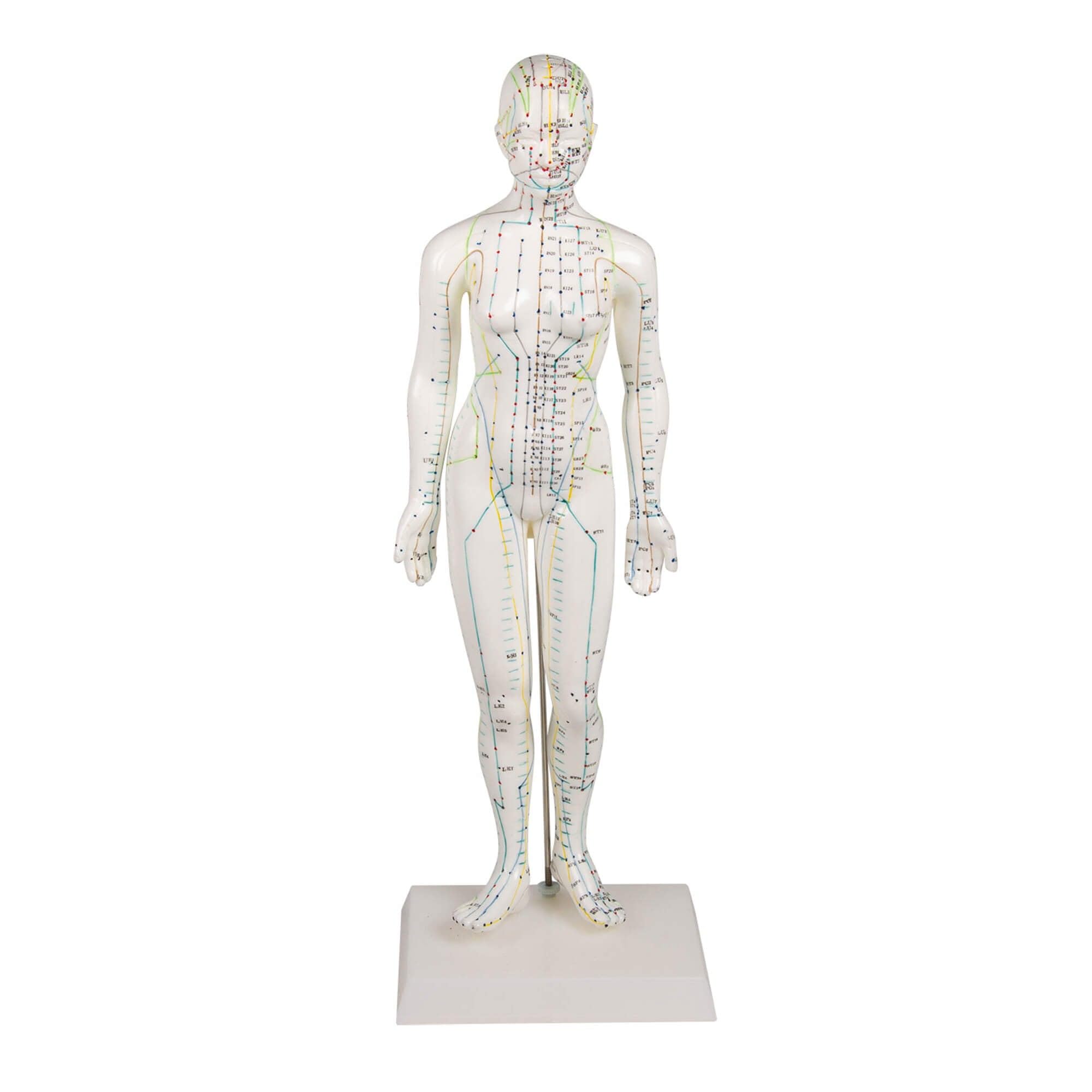 Figurine acupuncture femelle 48 cm pour mémoriser la MTC