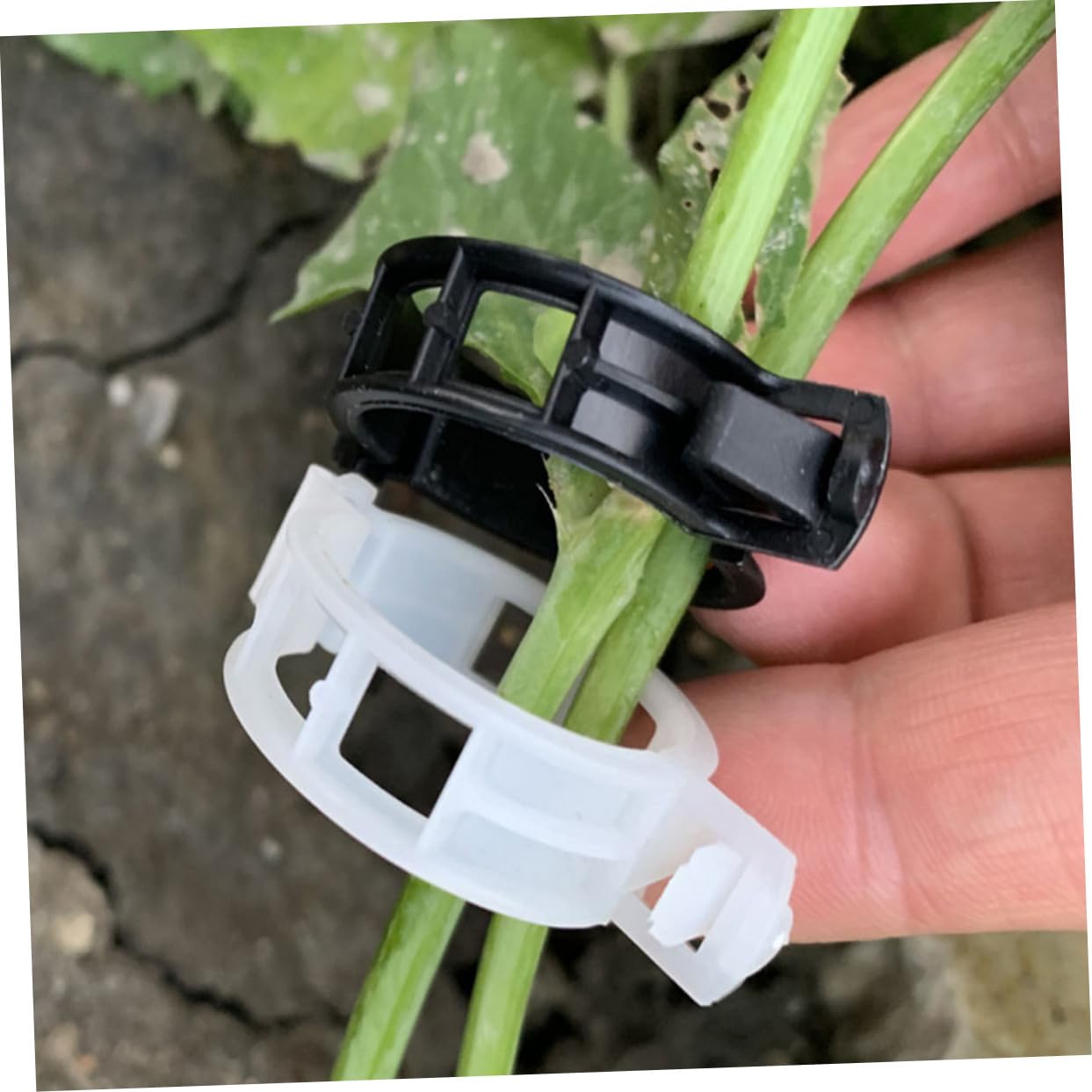 Hemobllo 400stücke Pflanzenclips Für Garten Verstellbare Klammern Unterstützung Von Tomaten Orchideen Und Kletterpflanzen Langlebige Pflanzenhalter Material Für Und Blumen