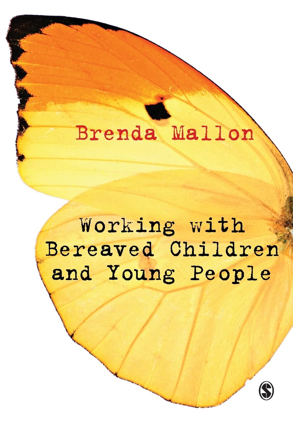 Working with Bereaved Children and Young People by Brenda Mallon - 9781849203715