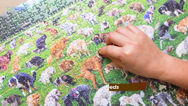 Amazon.com: Funwares Original 101 Puppies Puzzle – 500-Piece