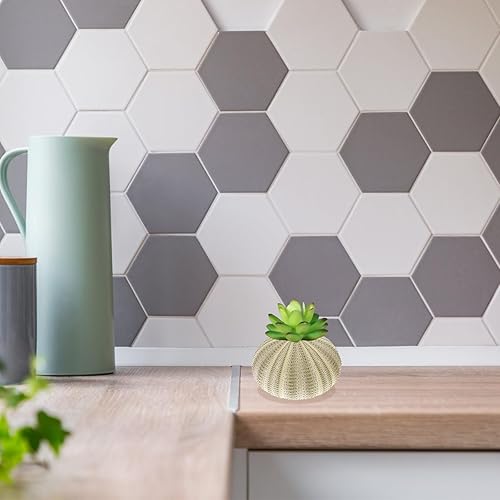 Miniatura 7 de BESPORTBLE Decoración del hogar, 4 unidades de conchas naturales de erizos de mar, conchas de mar decorativas para decoración del hogar,