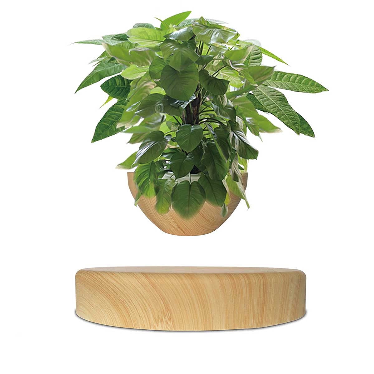 Pot De Bonsaïs À Air en Lévitation Plateau pour Plantes De Maison, 360 Degrés Pot De Bonsaï Flottant À Lévitation Magnétique Grain De Bois Pot De Fleurs Flottant pour Cadeau De Vacances