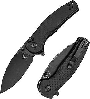 Kizer Mini Grouper Folding Pocket Knife, Nitro-V Steel Blade G10 Handle EDC Knife, Button Lock Knife with Pocket Clip for Men Women, Sharp Utility Camping Hiking Survival Knives V3669A2 - Kizer