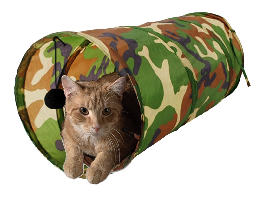 Sage Square 20-inch Portable Sleeping Bag Cum Exercise Tunnel with Dangling Ball for Healthy Pet (B079TZMKSV) Amazon Price History, Amazon Price Tracker