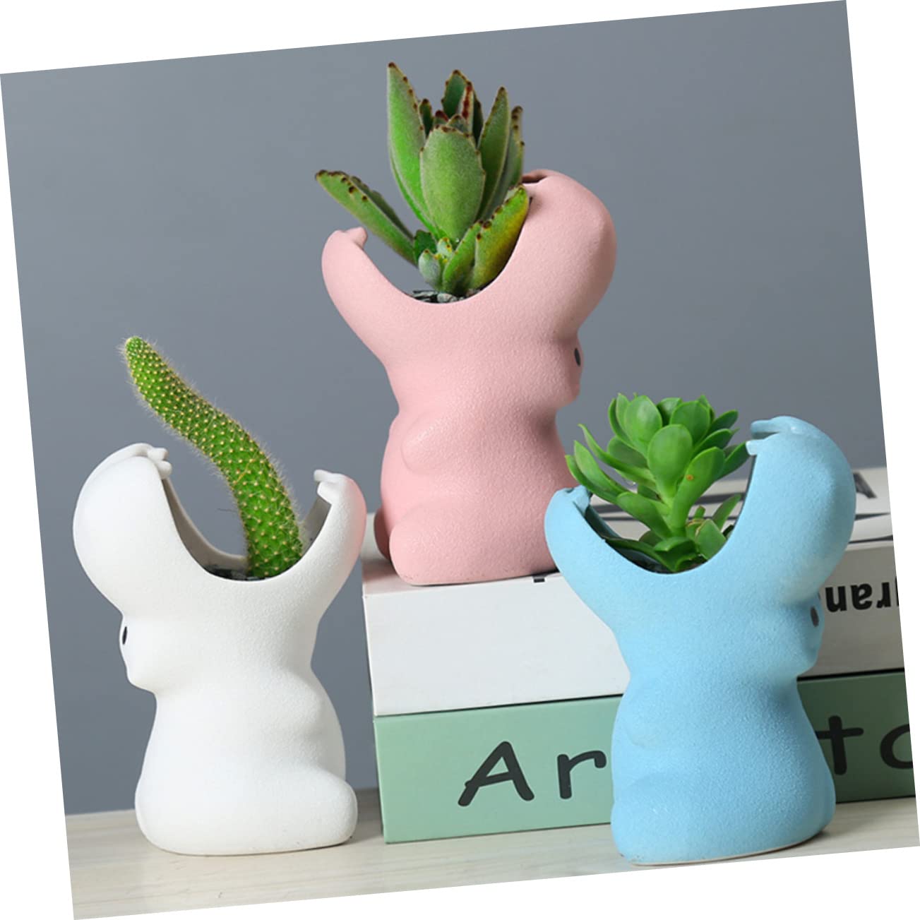 Amazon.co.jp: Parliky セラミック多肉植物鉢 デスクトップ装飾用 漫画