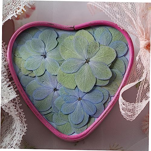 Alipis 30 piezas flores prensadas secas para manualidades miniatura 2