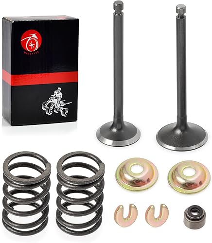 Kit de reconstrucción de válvula de escape de admisión y resorte de sello para carrito de golf YAMAHA G11 G16 G20 G22 G23 G27 G28 G29 A YDRA