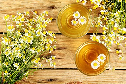 "Common German Chamomile" Flower/Herb Seeds For Planting, 1000+ Seeds Per Packet, (Isla's Garden Seeds), Non Gmo & Heirloom Seeds, Botanical Name: Matricaria Chamomilla, Great Herb Garden Gift #TOP3