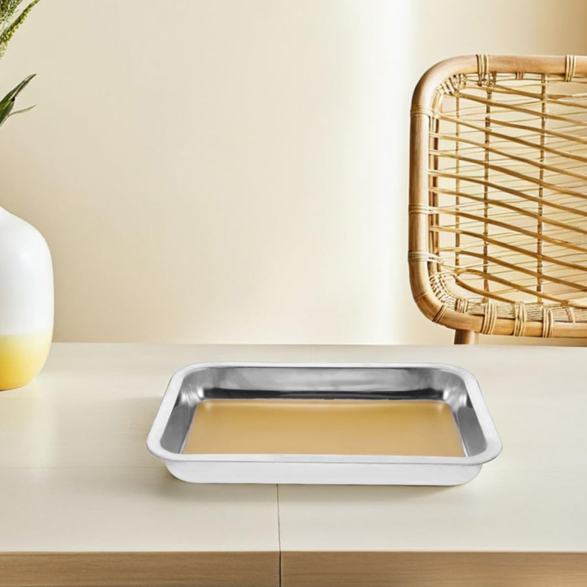 2pcs A4 Stainless Steel Dissection Tray for Biology Classroom Lab Work | Wax Lined, Non Scratch Base, Silver Finish, School and Research Use