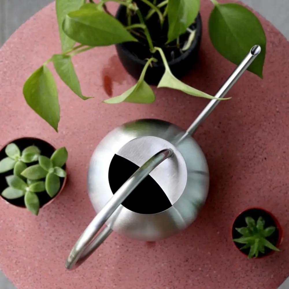 Arrosoirs Arrosoir en Acier Inoxydable 1L, Pot d'arrosage de Fleurs à Long Bec avec poignée, Outil de Jardin 33.8oz
