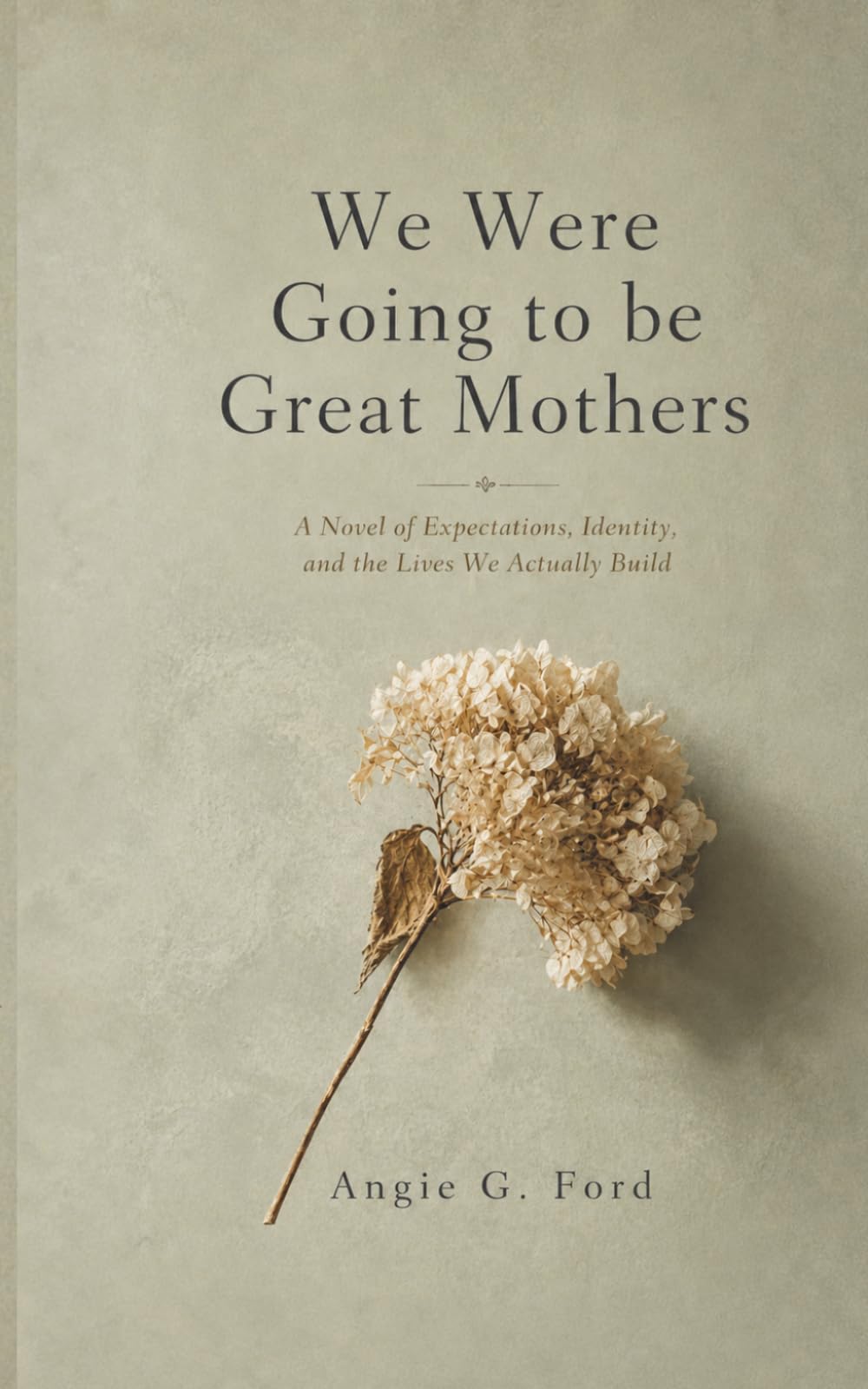 We Were Going to be Great Mothers: A Novel of Expectations, Identity, and the Lives We Actually Build