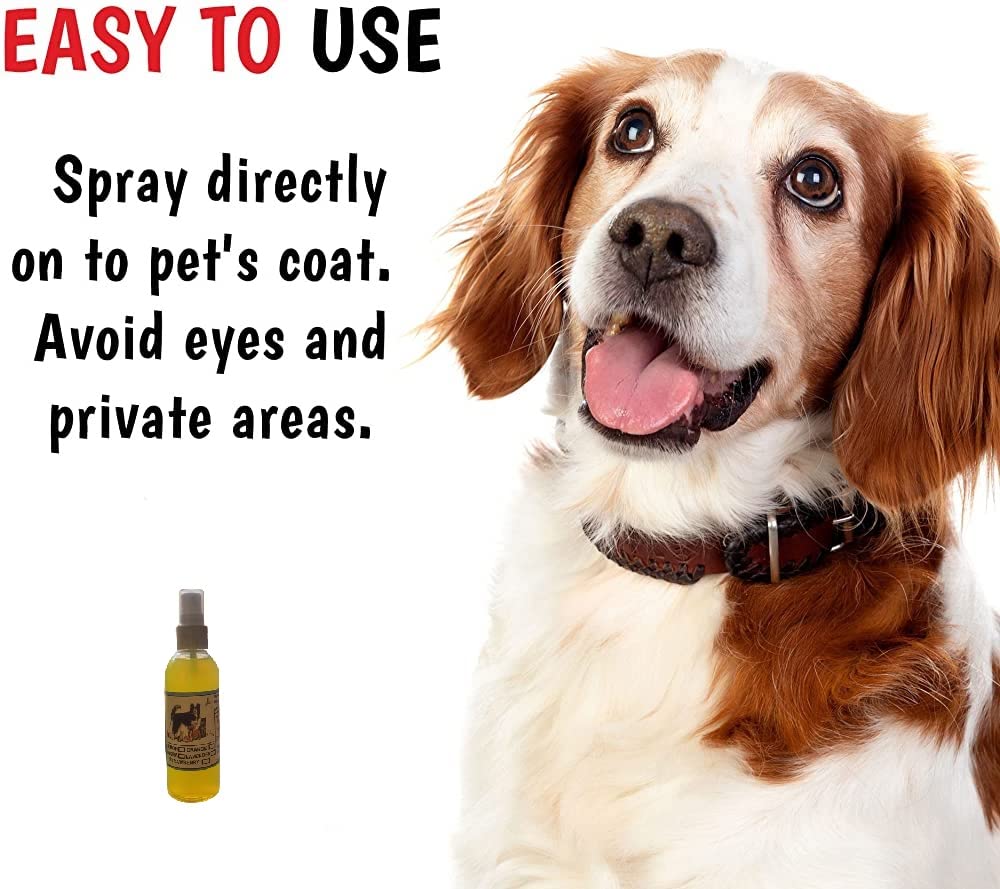 PET Aqua Odour Remover (Combo Pack of 5) 1