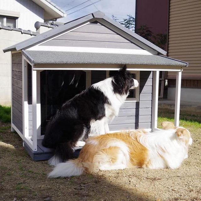 Amazon.co.jp: 海外ペット用品セレクトショップALLFORWAN'sLIFE: 犬小屋