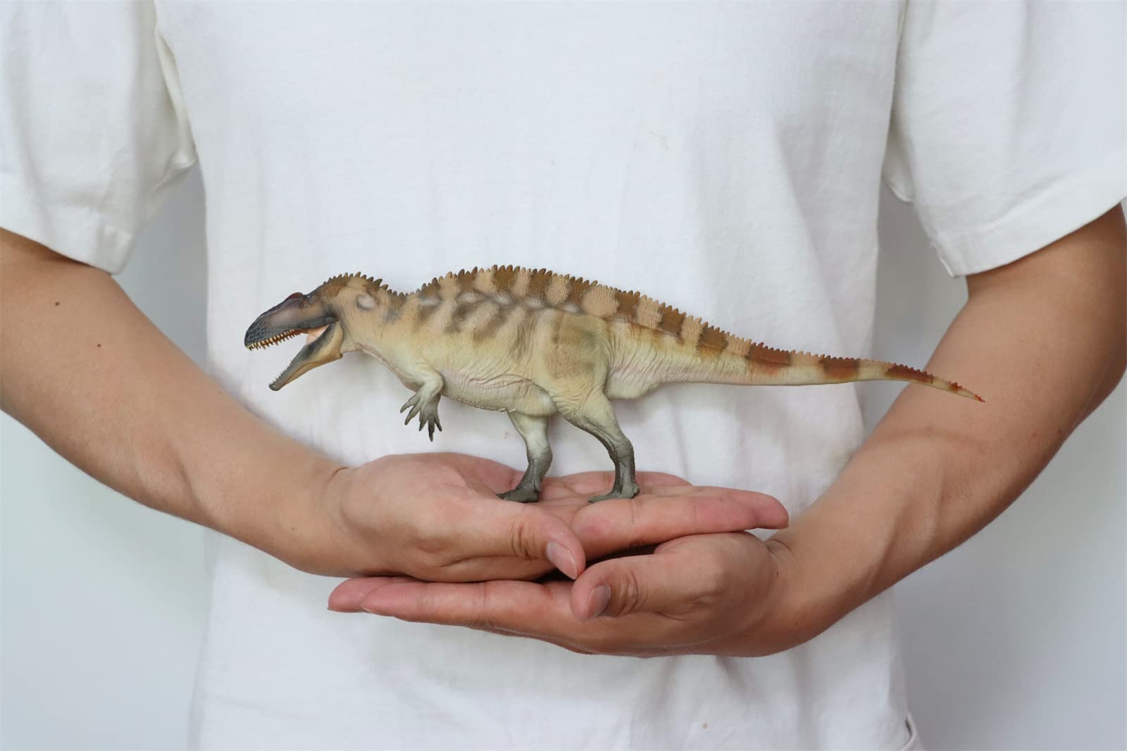 AMITD 61 Fergus Acrocanthosaurus Figure Carcharodontosauridae Dinosaur Art Model Realistic Prehistoric Animal PVC Decoration Gift for Adult