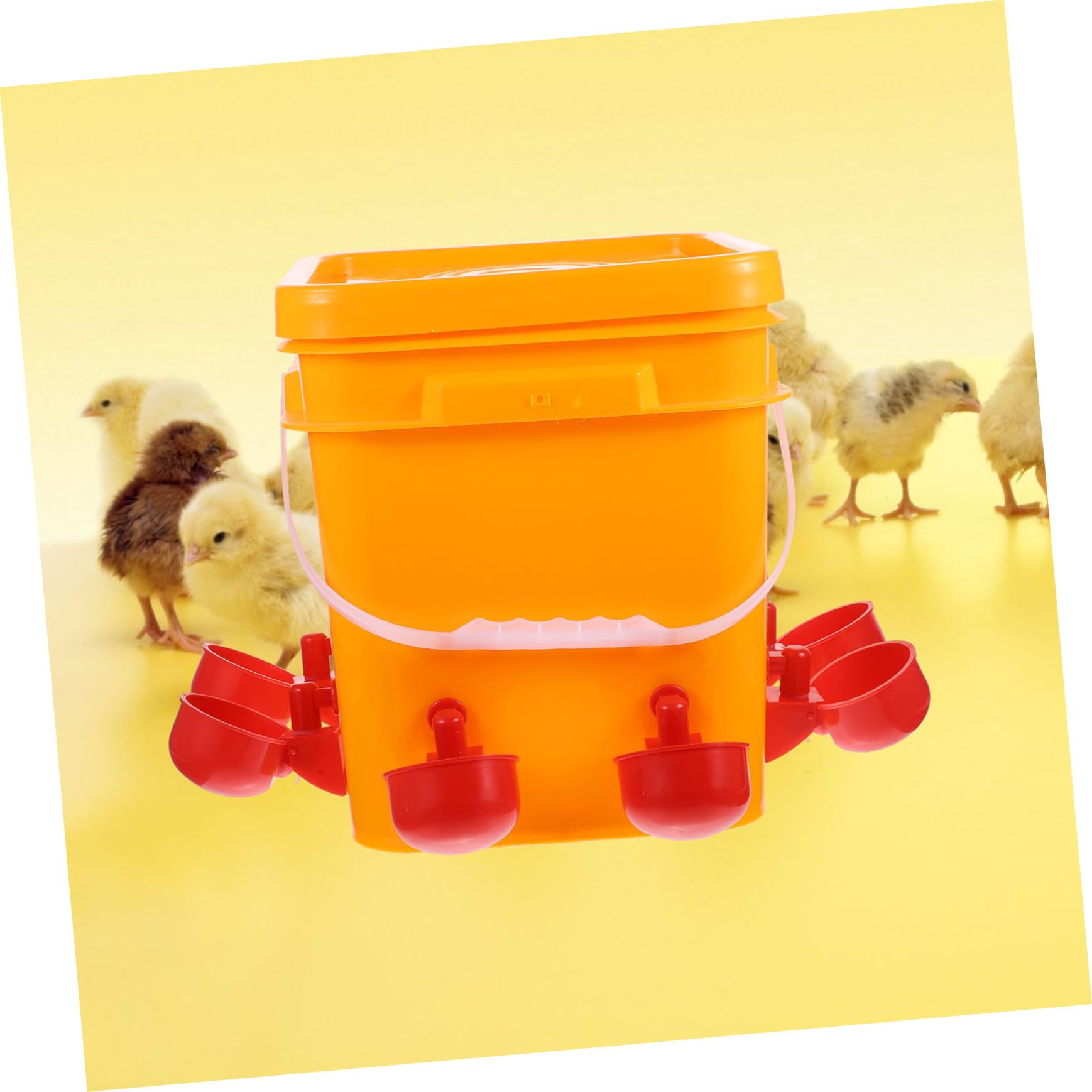 Bebedero Automático para Pollos 1 Juego de Plástico Naranja | Vasos para Beber, Fácil de Llenar, para Gallinas y Codornices en Uso Doméstico