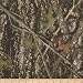 True Timber 60-Inch Width Conceal Fabric by Yard