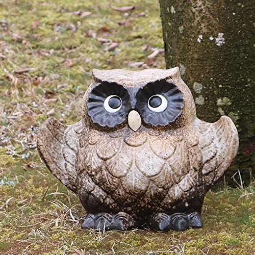 My H΂ӂ낤(8, )yfu-0061z ӂ낤   MyĂ ĕ u u N v[g Mtg