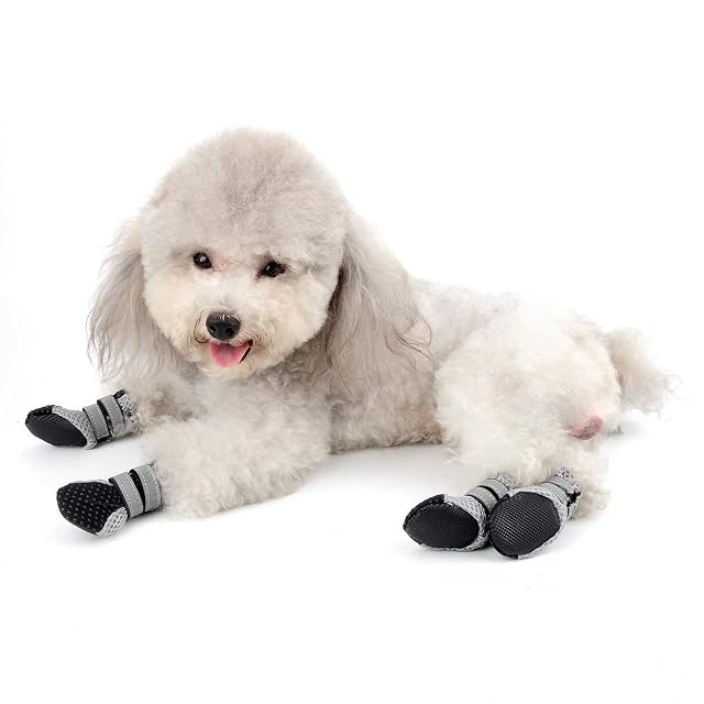 Foto 5 de 6 de SMALLLEE_LUCKY_STORE Botas protectoras para mascotas, de malla transpirable, para verano, suaves