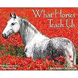 1 X What Horses Teach Us 2015 Daily Boxed Calendar