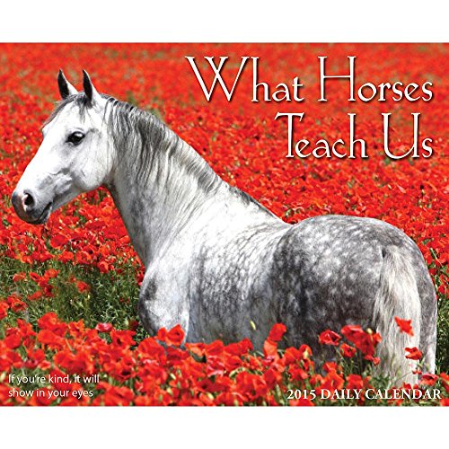 1 X What Horses Teach Us 2015 Daily Boxed Calendar