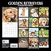 2019 Wall Calendar - Golden Retriever Calendar, 12 x 12 Inch Monthly View, 16-Month, Dogs and Pets Theme, Includes 180 Reminder Stickers