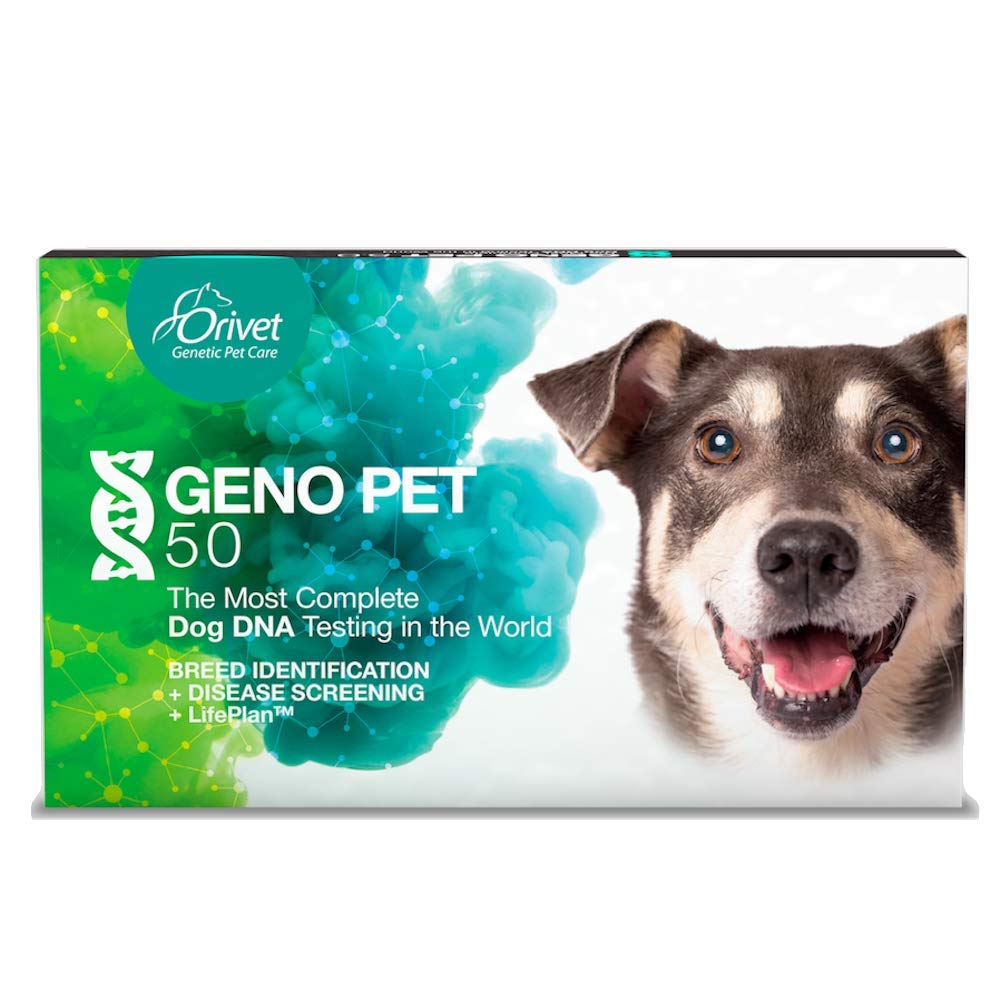 dog dna breed identification test