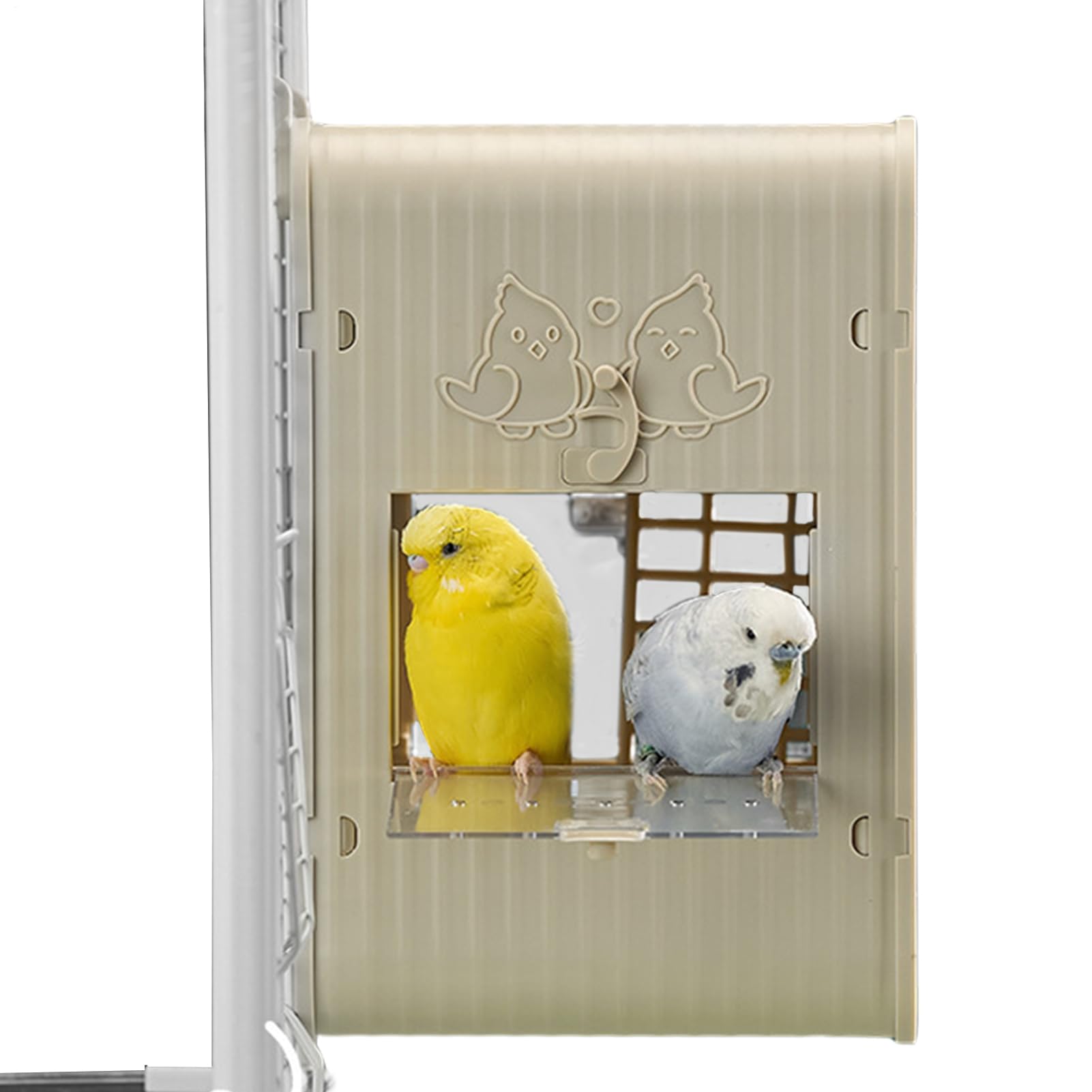 Cassetta Per Parrocchetti Per Pappagalli Con Integrata | Per Calopsite Birdwatching, decorazione giardino, balcone, osservazione educativa, fauna selvatica