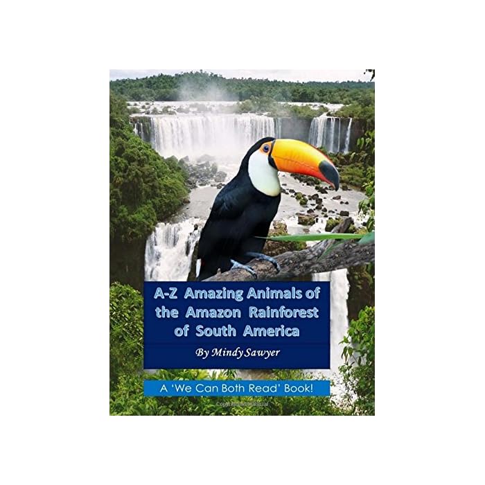 Buy AZ Amazing Animals of the Amazon Rainforest of South America Fun