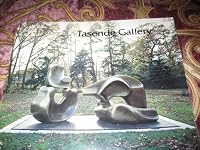 Tasende Gallery-1982: Paintings, Drawing and Sculpture B001B8RS8C Book Cover
