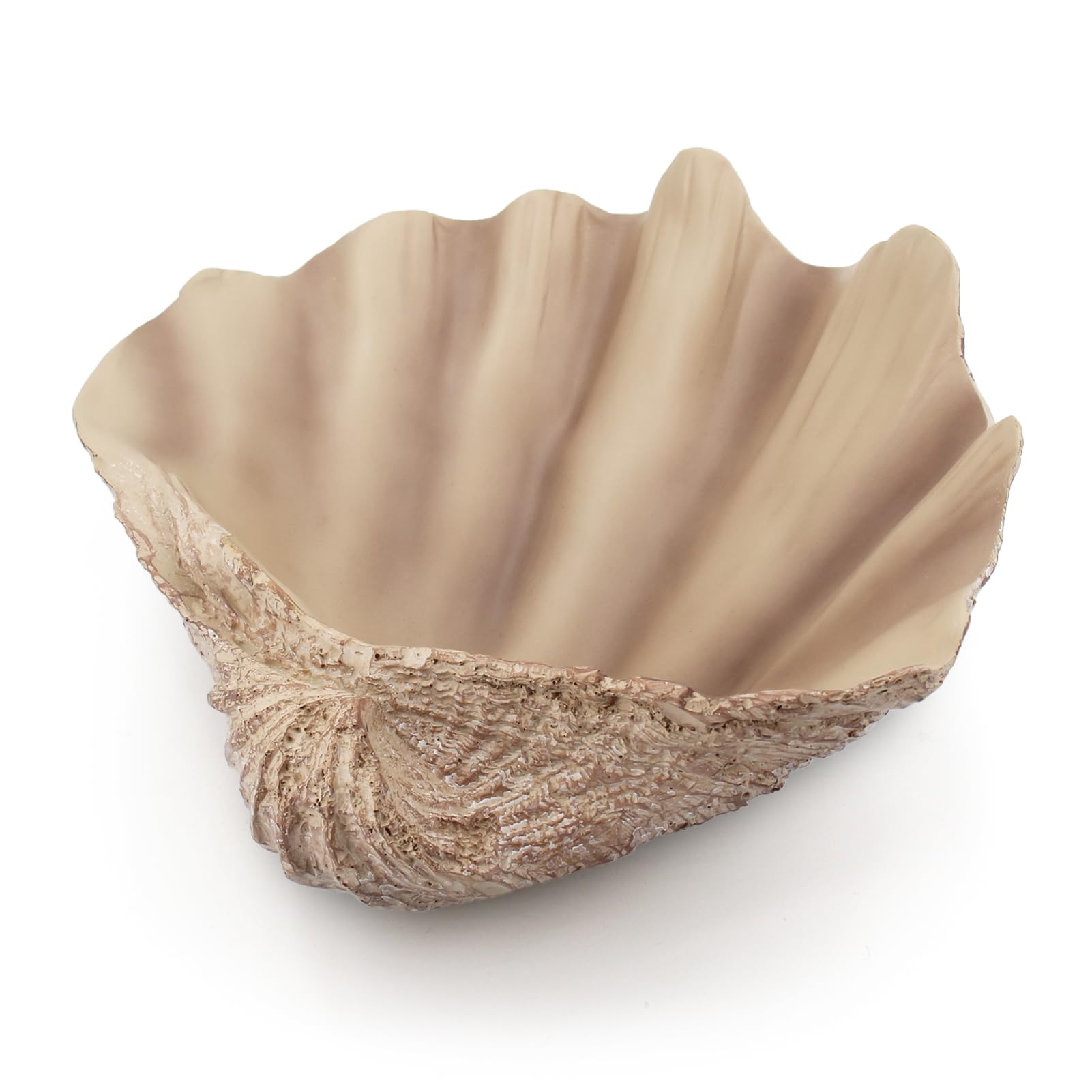 Amazon.com: Afadorable Resin Seashell Decorative Bowl Large Clam