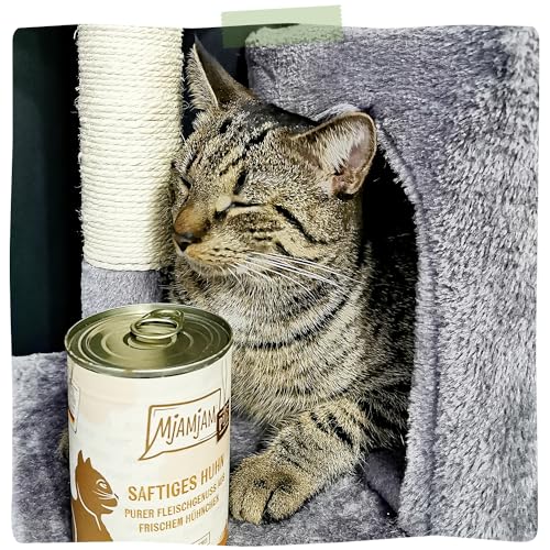 MjAMjAM - Premium Nassfutter für Katzen - Probierpaket Purer Fleischgenuss 1 125g, 12er Pack (12 x 125g), naturbelassen mit extra viel Fleisch