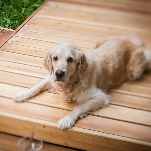 Miniatura 6 de Aceite de linaza crudo puro, 128 onzas líquidas, 1 galón