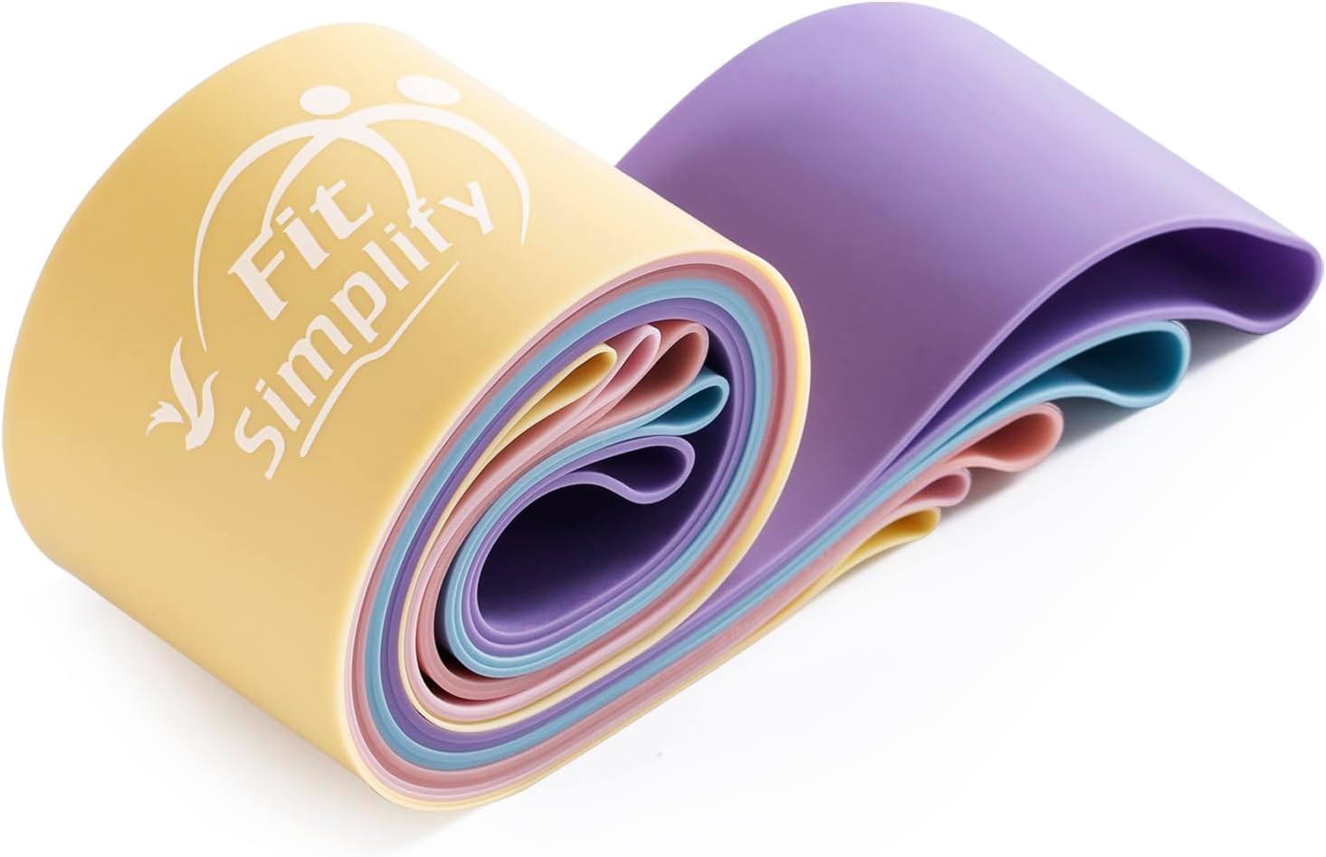 Fit Simplify Resistance Loop Paste Exercise Bands with Instructions and Carry Bag, Set of 5