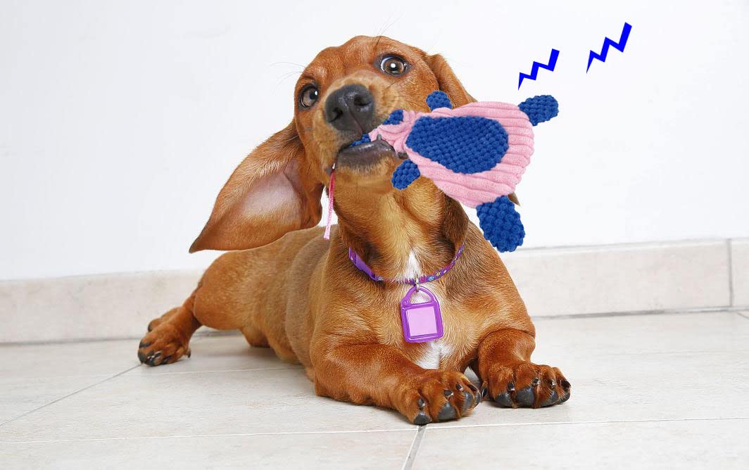 Comtim Paquete de 2 juguetes masticables duraderos para perros, sin relleno, chirriantes, para perros pequeños y cachorros